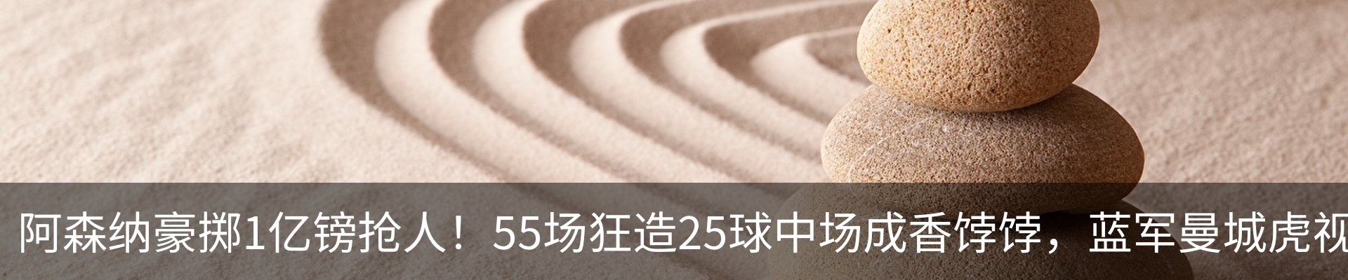 新闻动态